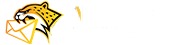AI寻单豹